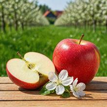 RoHo - Der rote Pinova 2.2KG von Obstland Ehlers
