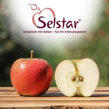 Selstar Apfel 2.2KG von Selstar