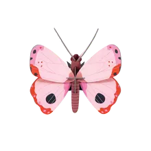 Studio Roof Rosora Butterfly von Studio Roof