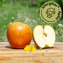 Holsteiner Cox Apfel 2.2KG von Obstland Ehlers
