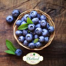 Blaubeeren 5Kg von Obstland Ehlers
