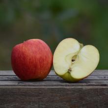 Bio Jonagored 4KG von Obstland Ehlers