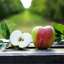 Bio Collina Apfel 2.2KG von Obstland Ehlers