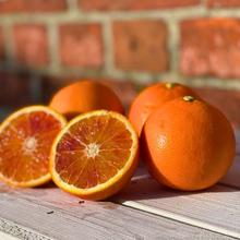 Blutorange 48 Stk. von Obstland Ehlers