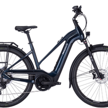 Pegasus Premio Evo 11 "40 Years" / RH 50 / 750 WH Bosch Smartsystem von Pegasus