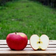 Bio Apfel Deichperle 2.2KG von Obstland Ehlers