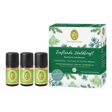 Primavera Set Duftende Waldkraft von PRIMAVERA LIFE GMBH