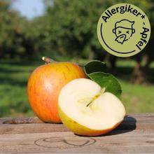 Holsteiner Cox Apfel 4KG von Obstland Ehlers
