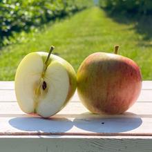 James Grieve Apfel 2.2KG von Obstland Ehlers