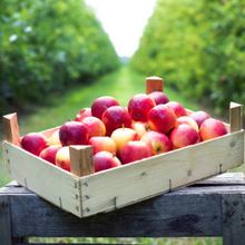 Frische Kinderäpfel 2.2KG von Obstland Ehlers