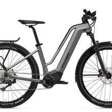 Flyer Goroc2 2.10 Comfort Panasonic 750 WH / RH M / silver-black von Flyer