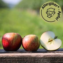 Bio Gravensteiner Apfel 4KG von Obstland Ehlers