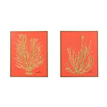 Bild Koralle, 2er Set, 40x50 von CHILLISY HOME