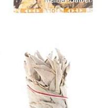 Weißer Salbei  von Berk GmbH & Co. KG