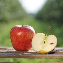 Delbarestivale Apfel 8KG von Obstland Ehlers