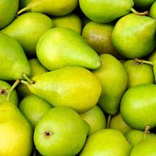 Bürgermeister Birnen 2.2KG von Obstland Ehlers