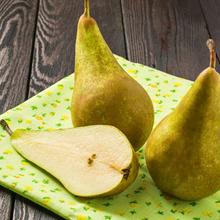 BIO Conference Birne 2.2KG von Obstland Ehlers