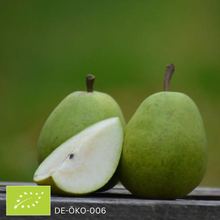 BIO Alexander Lucas Birne 4KG von Obstland Ehlers