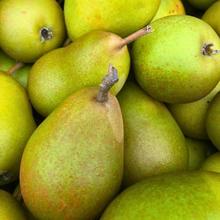 Doyenné du Comice Birne 2.2KG von Obstland Ehlers