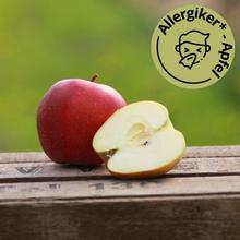 Gloster Apfel 8KG von Obstland Ehlers