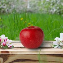 Apfelsorte Ladina 2.2KG von Obstland Ehlers