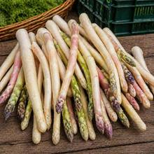 Bunter Vio Spargel 5kg von Obstland Ehlers