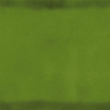 Fruits Green              von Lieblingsfliese