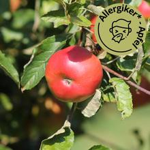 Berlepsch Apfel 2.2KG von Obstland Ehlers