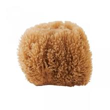 Schwamm "Bahamas" von Meraki von Meraki