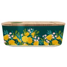 chicmic Lunchbox oval von chic mic