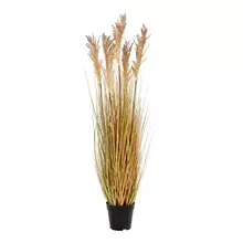 Deko Gras "Sorghum" von House Nordic von House Nordic