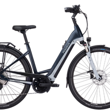 Pegasus Premio Evo 10 Lite / Bosch CX / 625 WH / Gr. 45 / grau von Pegasus
