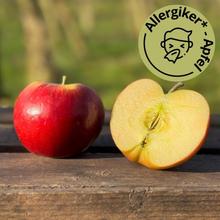 Roter Topaz Apfel 2.2KG von Obstland Ehlers