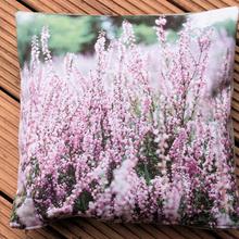 Elsa hell - Heide/Pink Kissen von Callunaburg