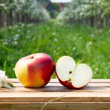 Nicoter Apfel 2.2KG von Obstland Ehlers