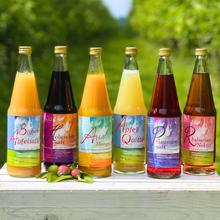 Saft Probierpaket 0.7L 6x von Obstland Ehlers