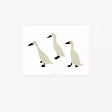 Warmgrey Tail Postkarte - Indian Runner Duck von Warmgrey Tail
