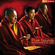 CD – Pure Sounds – Gyuto Monks of Tibet von Silenzio