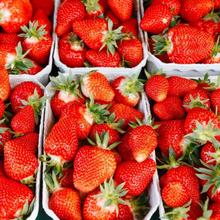 Erdbeeren 2Kg von Obstland Ehlers