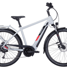 Pegasus Solero Evo 9 / Bosch Performance Line / 625 WH / Gr. 55/ grau von Pegasus