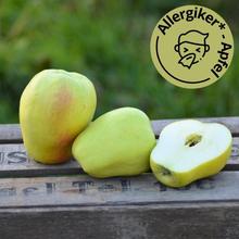 Bio Glockenapfel 2.2KG von Obstland Ehlers