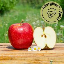 Bio Wellant Apfel 4KG von Obstland Ehlers