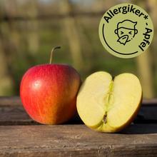 Rubinette Rosso Apfel 4KG von Obstland Ehlers