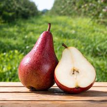 Rote Conference Birne 4KG von Obstland Ehlers