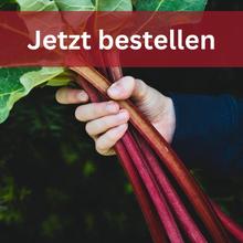 Rhabarber 5kg von Obstland Ehlers