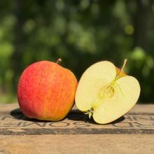 Apfel Falstaff 4KG von Obstland Ehlers