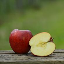 Red Jonaprince 4KG von Obstland Ehlers