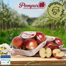 Pompur Allergiker Apfel 24 Stk. von Obstland Ehlers