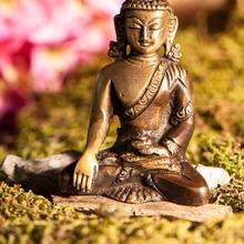 Akshobhya Dhyani Buddha 8 cm