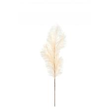 Pampasgras Puder 2-tlg. Set von Gift Company